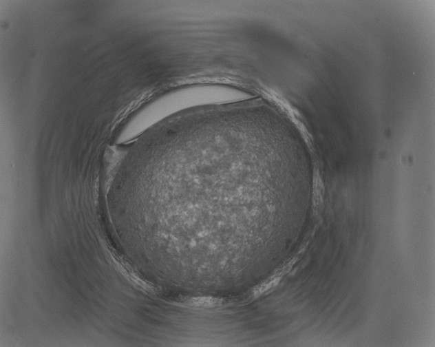 X0000084540153200703091702