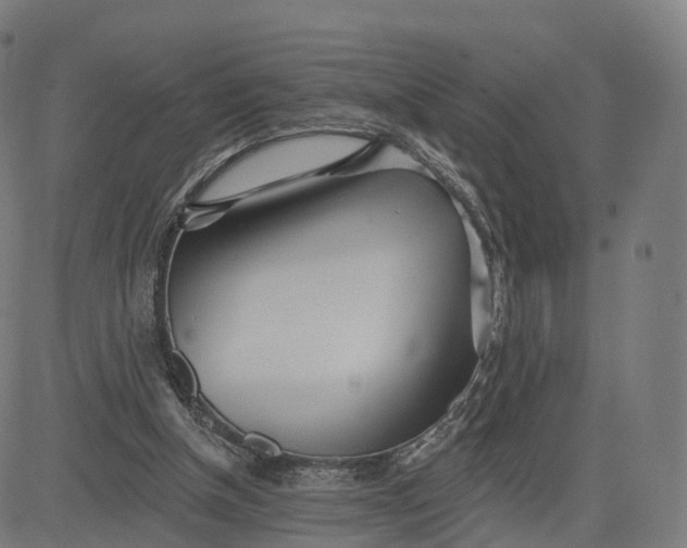 X0000084540154200703091702