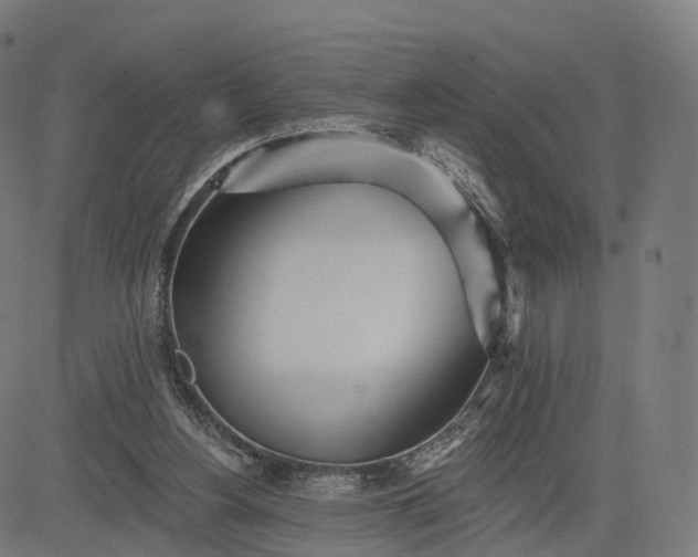 X0000084540156200703091703