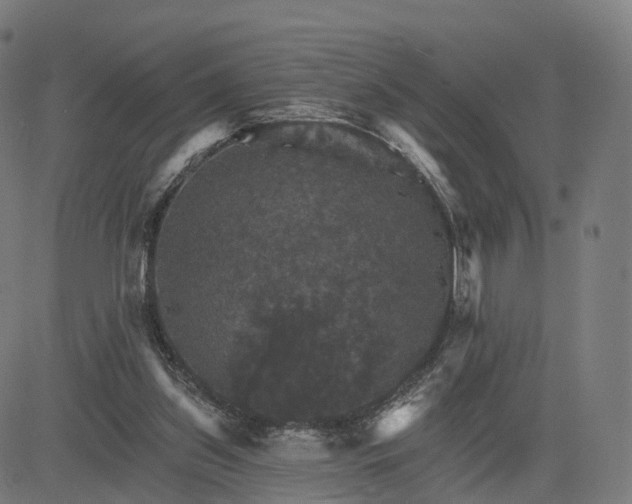 X0000084540157200703091703