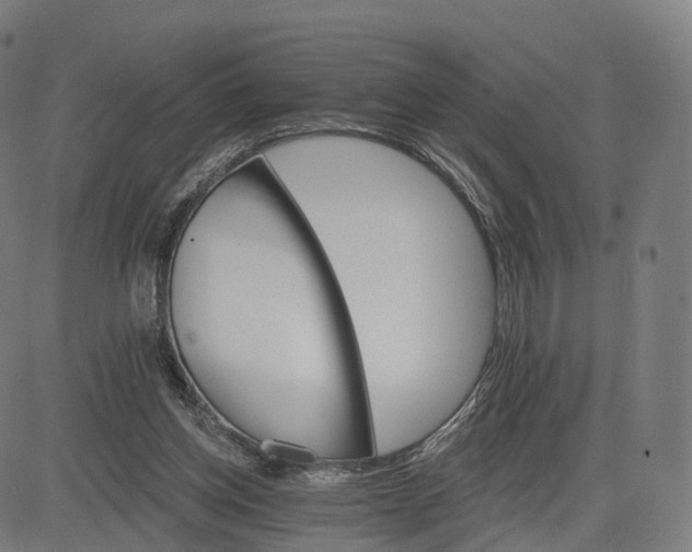 X0000084540158200703091703