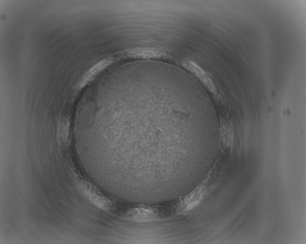 X0000084540159200703091703