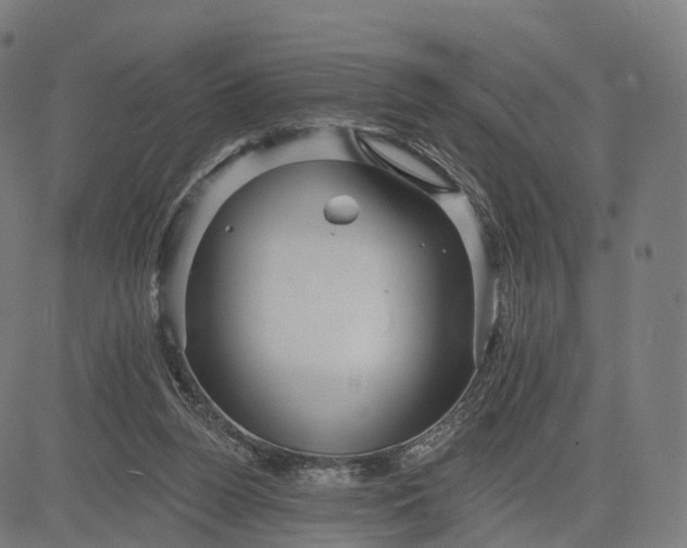 X0000084540160200703091703