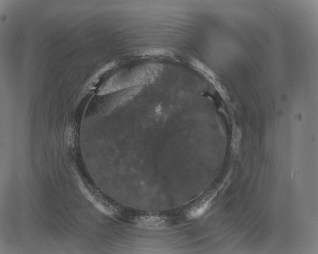 X0000084540161200703091703