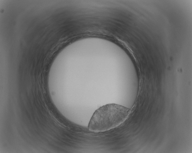 X0000084540162200703091703