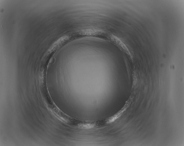 X0000084540163200703091703