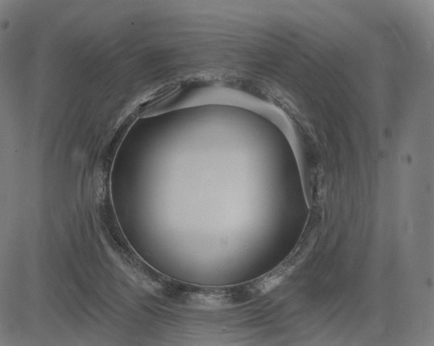 X0000084540164200703091703