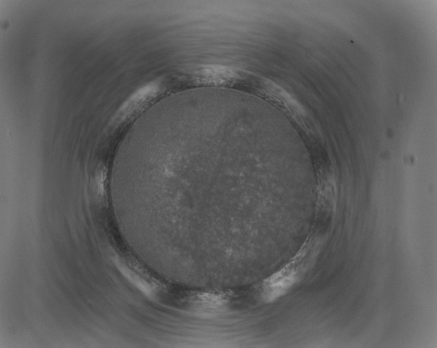 X0000084540166200703091703