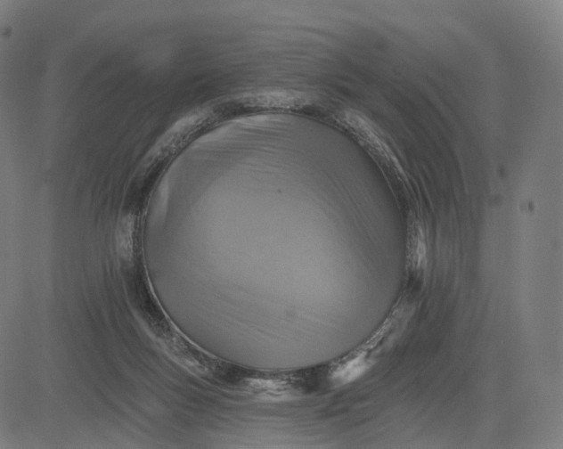 X0000084540167200703091703