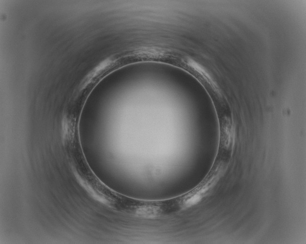 X0000084540168200703091703