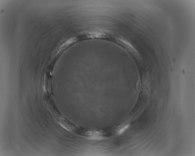 X0000084540169200703091703