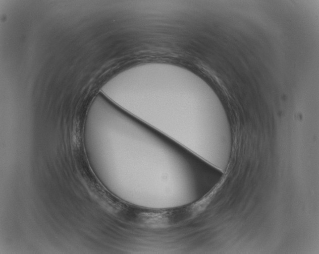 X0000084540170200703091703