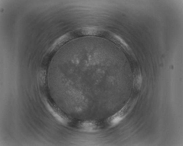 X0000084540171200703091703