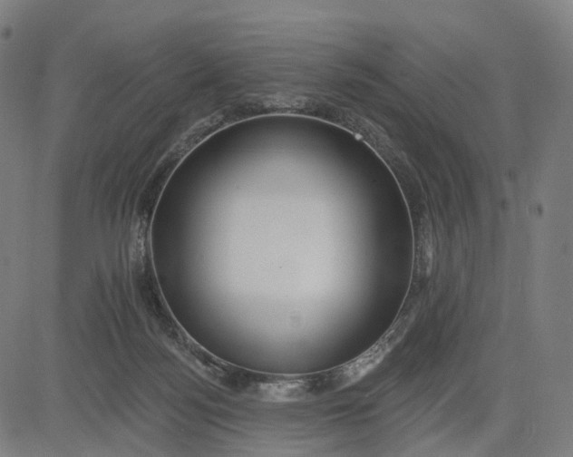 X0000084540172200703091703