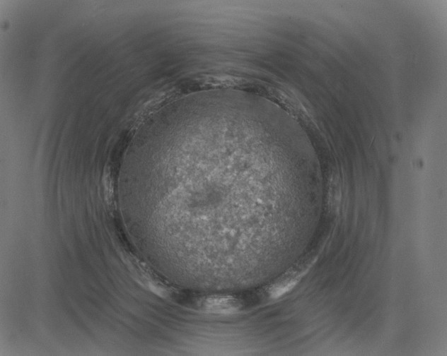 X0000084540173200703091703