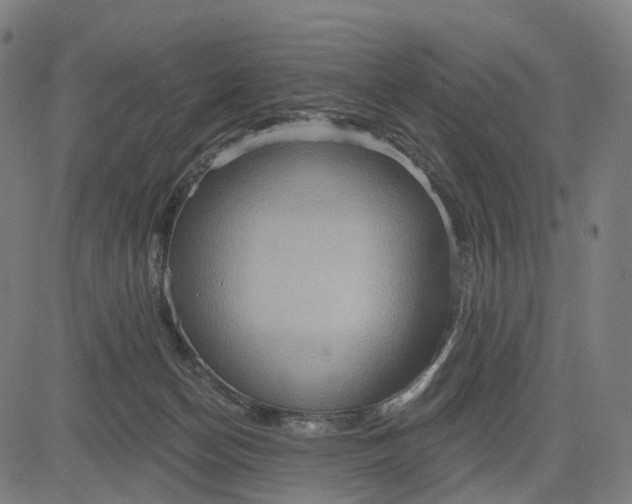 X0000084540174200703091703