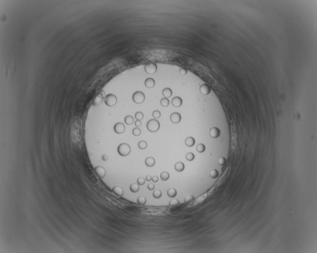 X0000084540175200703091703