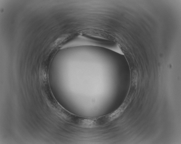 X0000084540176200703091703