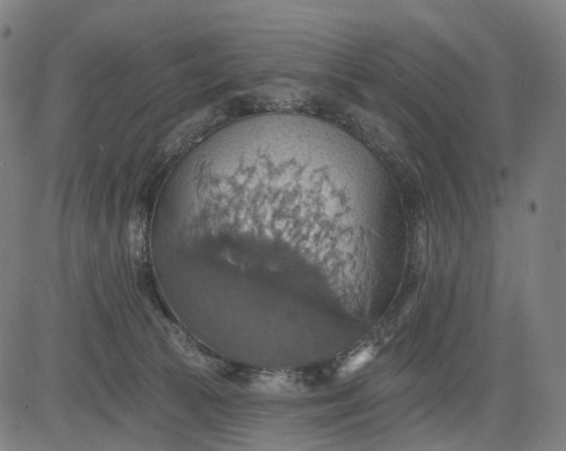 X0000084540177200703091703