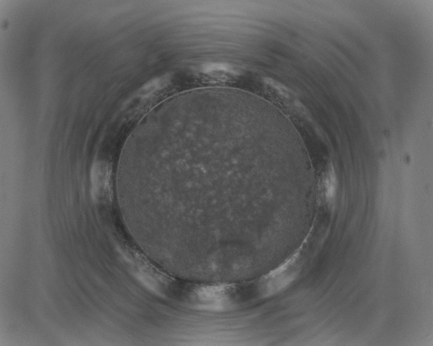 X0000084540178200703091703