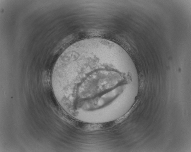 X0000084540179200703091703