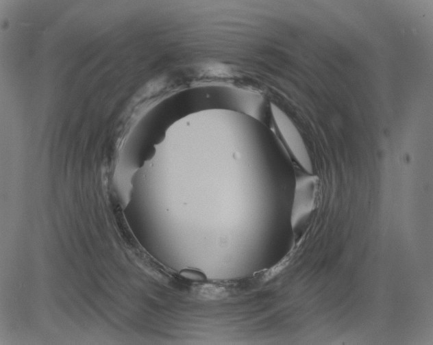 X0000084540180200703091703