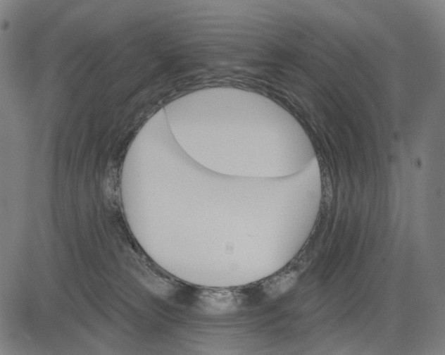 X0000084540181200703091703