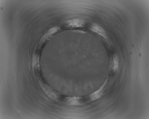 X0000084540182200703091703