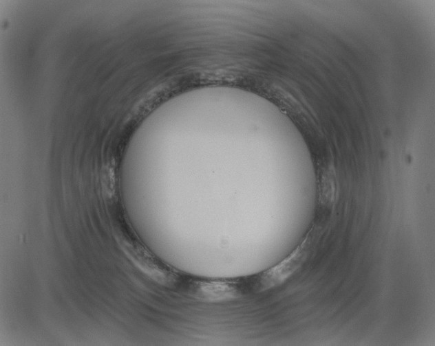 X0000084540183200703091703