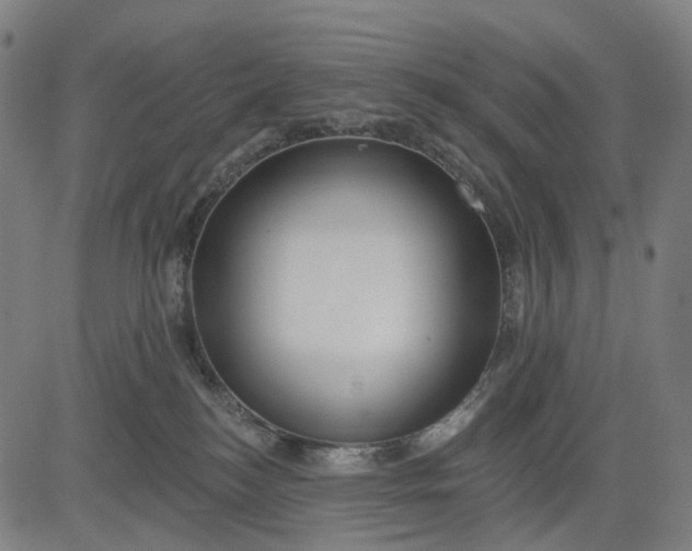 X0000084540184200703091703