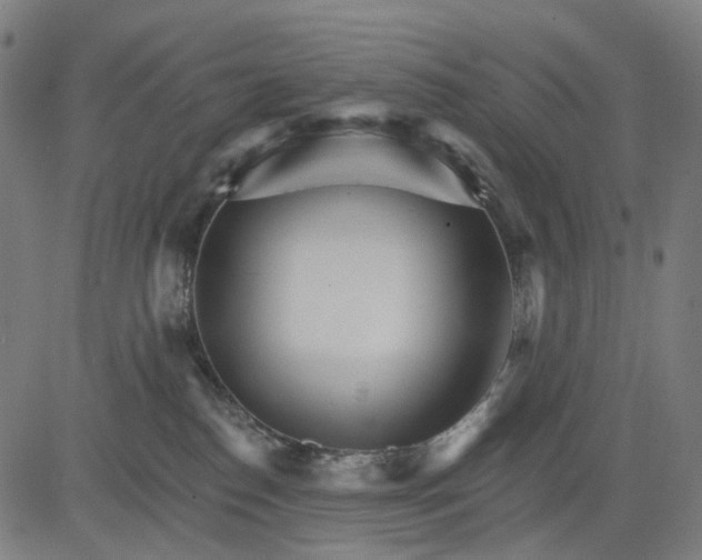 X0000084540186200703091703