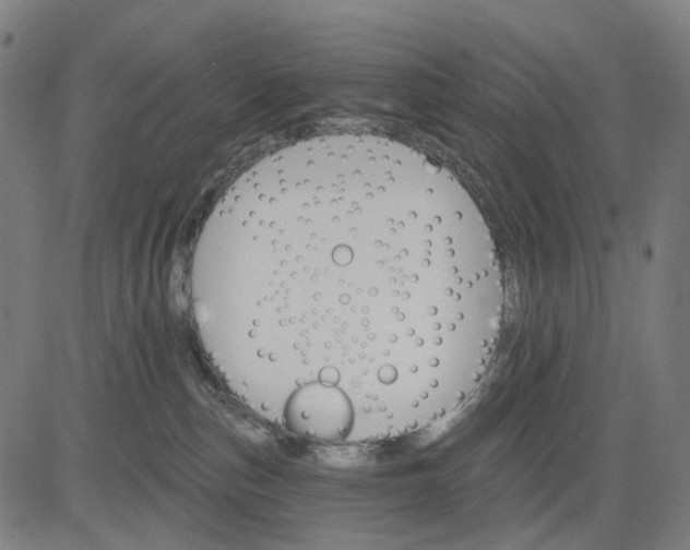 X0000084540187200703091703