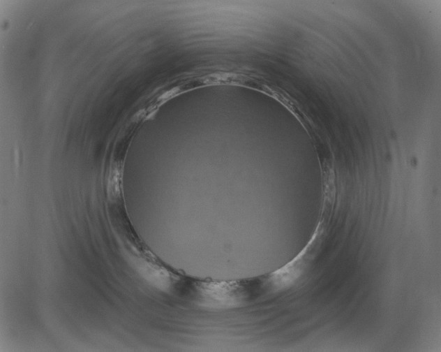 X0000084540191200703091703