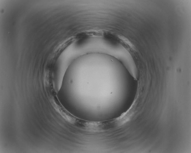 X0000084540192200703091703