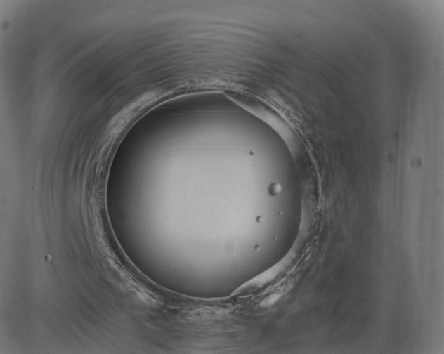 X0000084540193200703091702