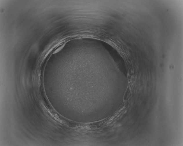 X0000084540194200703091702