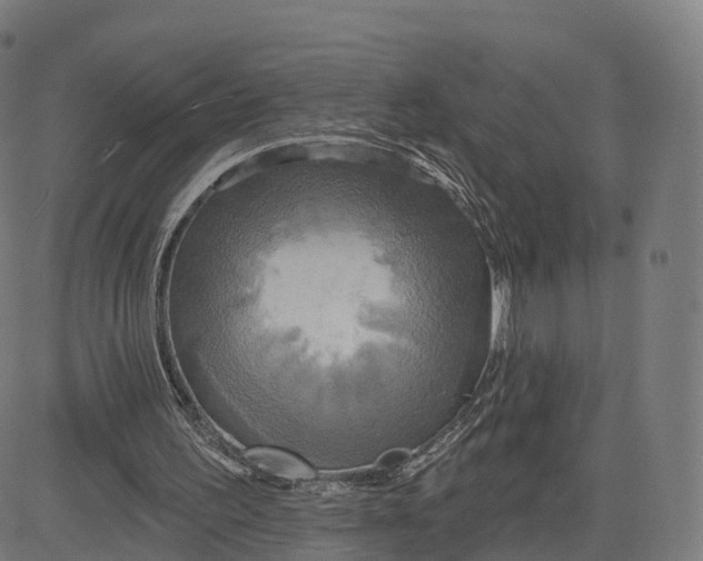 X0000084540195200703091702