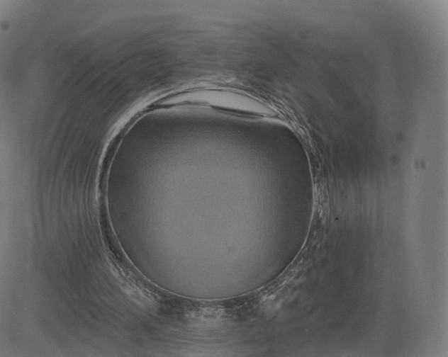 X0000084540196200703091702