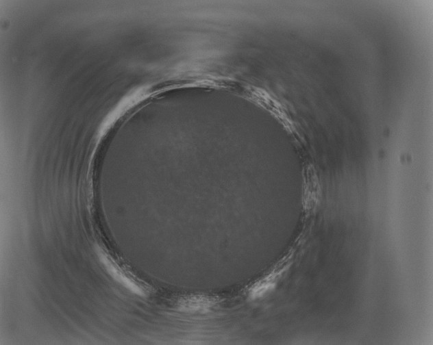 X0000084540198200703091702