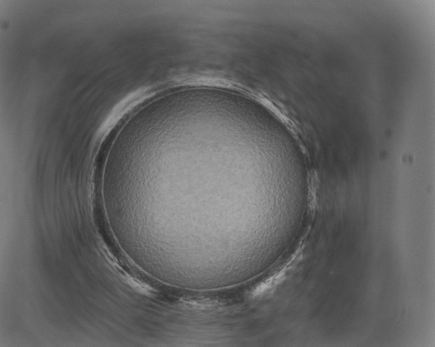 X0000084540199200703091702