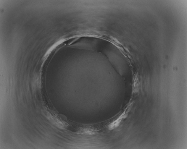 X0000084540200200703091702