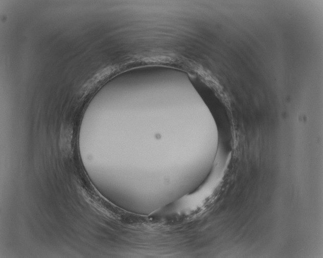 X0000084540201200703091702