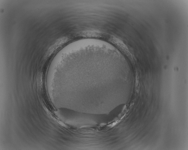 X0000084540202200703091702