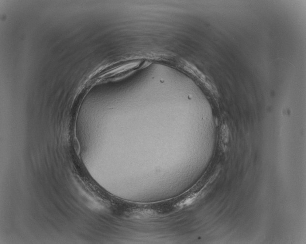 X0000084540203200703091702