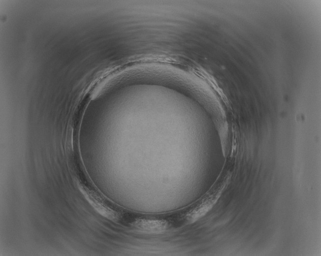 X0000084540205200703091702