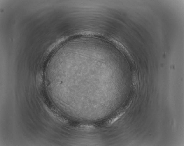 X0000084540208200703091702