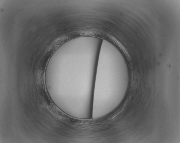 X0000084540209200703091702