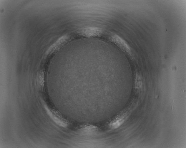 X0000084540210200703091702