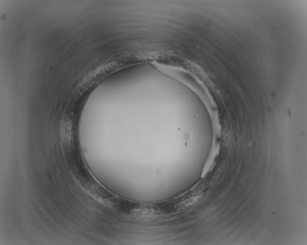 X0000084540211200703091702