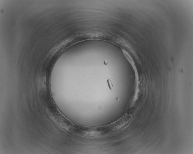 X0000084540212200703091702